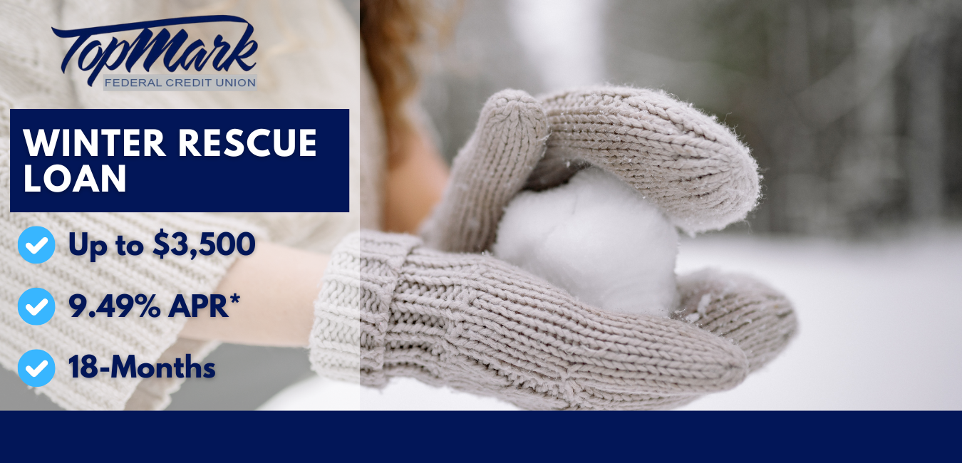 Winter Rescue Loan Website 